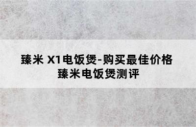 臻米 X1电饭煲-购买最佳价格 臻米电饭煲测评